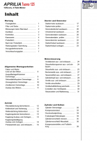 Reparaturanleitung RIS, Aprilia Tuono 125, 4T, Antrieb und Motor