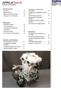 Reparaturanleitung RIS, Aprilia Tuono 125, 4T, Antrieb und Motor