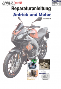 Reparaturanleitung RIS, Aprilia Tuono 125, 4T, Antrieb und Motor