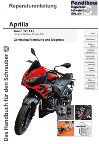 Reparaturanleitung RIS, Aprilia Tuono 125 EFI, 4T, Gemischaufbereitung und Diagnose