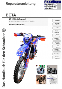 Reparaturanleitung RIS, Beta RR 125 LC (Enduro), Antrieb und Motor