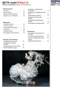 Reparaturanleitung RIS, Beta RR Motard 125, Antrieb und Motor