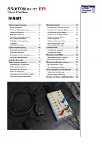 Reparaturanleitung RIS, Brixton BX 125, 4T, Gemischaufbereitung und Diagnose