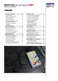 Reparaturanleitung RIS, Brixton BX Haycroft 125, 4T, Gemischaufbereitung und Diagnose