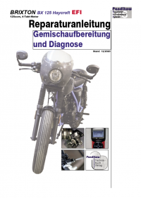 Reparaturanleitung RIS, Brixton BX Haycroft 125, 4T, Gemischaufbereitung und Diagnose