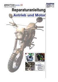 Reparaturanleitung RIS, Brixton BX 125 X, 4T, Antrieb und Motor
