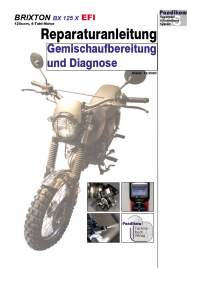 Reparaturanleitung RIS, Brixton BX 125 X, 4T, Gemischaufbereitung und Diagnose