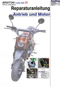 Reparaturanleitung RIS, Brixton Crossfire 125 XS, Antrieb und Motor