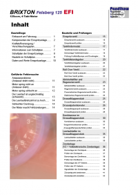 Reparaturanleitung RIS, Brixton BX 125 Felsberg, 4T, Gemischaufbereitung und Diagnose