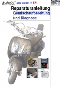 Reparaturanleitung RIS BURNOUT Easy Cruiser 50, Gemischaufbereitung und Diagnose