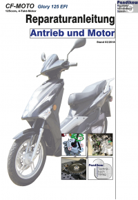 Reparaturanleitung RIS, CF-MOTO Glory 125 EFI, Motor und Antrieb