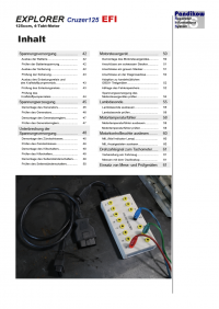 Reparaturanleitung RIS, EXPLORER Cruzer 125 EFI, Gemischaufbereitung und Diagnose