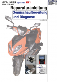 Reparaturanleitung RIS, Explorer Speed 50 EFI, 4T, Gemischaufbereitung und Diagnose