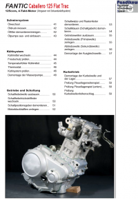 Reparaturanleitung RIS, Fantic Caballero Flat Trac 125, Antrieb und Motor