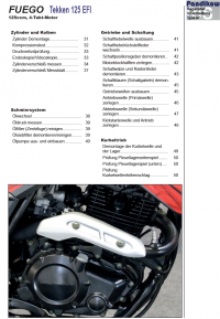 Reparaturanleitung RIS, Fuego Tekken 125 EFI, Antrieb und Motor