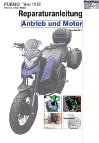 Reparaturanleitung RIS, Fuego Tekken 125 EFI, Antrieb und Motor