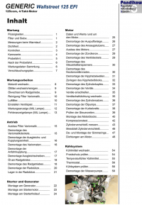 Reparaturanleitung RIS, GENERIC Wallstreet 125 EFI, Motor und Antrieb