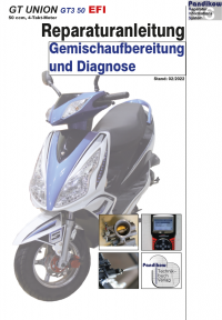 Reparaturanleitung RIS, GT UNION GT3 50 EFI, 4T, Gemischaufbereitung und Diagnose