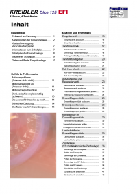 Reparaturanleitung RIS, Kreidler Dice 125, 4T, Gemischaufbereitung und Diagnose