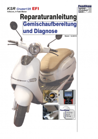 Reparaturanleitung RIS, KSR Cruzer 125 EFI, Gemischaufbereitung und Diagnose