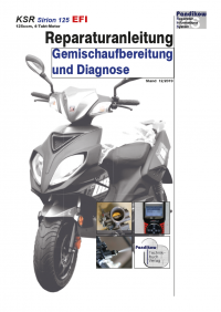 Reparaturanleitung RIS, KSR Sirion 125 EFI, Gemischaufbereitung und Diagnose