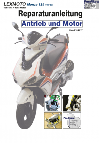 Reparaturanleitung RIS, LEXMOTO Monza 125 4T, Antrieb und Motor