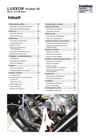 Reparaturanleitung RIS, Luxxon Cruiser 50 ECS, 4T, Gemischaufbereitung und Diagnose