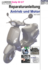 Reparaturanleitung RIS, LuXXon Emily 50 GT, 4T, Antrieb und Motor