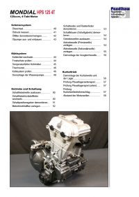 Reparaturanleitung RIS, Mondial HPS 125, 4T, Antrieb und Motor