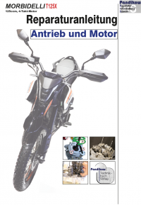 Reparaturanleitung RIS Morbidelli T125X, Antrieb und Motor