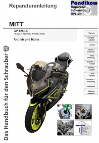 Reparaturanleitung RIS Mitt GP 125 LC, Antrieb und Motor