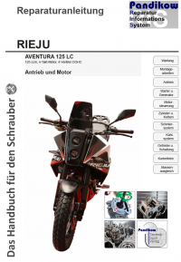 Reparaturanleitung RIS Rieju Aventura 125 LC, Antrieb und Motor