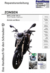 Reparaturanleitung RIS Zonsen Batllo 125 LC, Antrieb und Motor