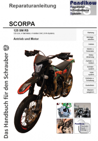 Reparaturanleitung RIS, Scorpa 125 SM RS, Antrieb und Motor