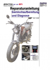 Reparaturanleitung RIS, Brixton BX 125, 4T, Gemischaufbereitung und Diagnose