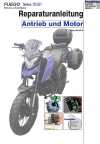 Reparaturanleitung RIS, Fuego Tekken 125 EFI, Antrieb und Motor
