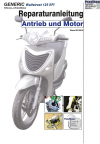 Reparaturanleitung RIS, GENERIC Wallstreet 125 EFI, Motor und Antrieb