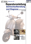 Reparaturanleitung RIS, GT UNION Massimo 50 ECS, 4T, Gemischaufbereitung und Diagnose