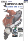 Reparaturanleitung RIS, GT Union Striker 50, Antrieb und Motor