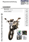 Reparaturanleitung RIS, Hanway Muscle 125, 4T, Antrieb und Motor