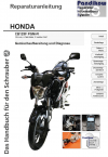 Reparaturanleitung RIS, Honda CB 125 F PGM-FI, 4T, Gemischaufbereitung und Diagnose