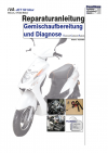Reparaturanleitung RIS, IVA Jet 50 New ECS, 4T, Gemischaufbereitung und Diagnose