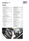 Reparaturanleitung RIS, Luxxon Eco 50 ECS, 4T, Gemischaufbereitung und Diagnose