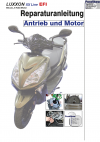 Reparaturanleitung RIS Luxxon XX Line 50, Antrieb und Motor