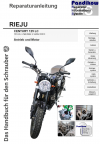 Reparaturanleitung RIS Rieju Century 125 LC, Antrieb und Motor