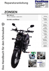 Reparaturanleitung RIS Zonsen RA 125 LC, Antrieb und Motor