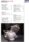 Reparaturanleitung RIS, Somoto Cafe 1.0 (125 EFI), Antrieb und Motor