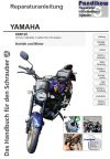 Reparaturanleitung RIS, Yamaha XSR 125, Antrieb und Motor