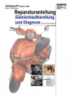 Reparaturanleitung RIS, Zündapp Bella R50 ECS, 4T, Gemischaufbereitung und Diagnose